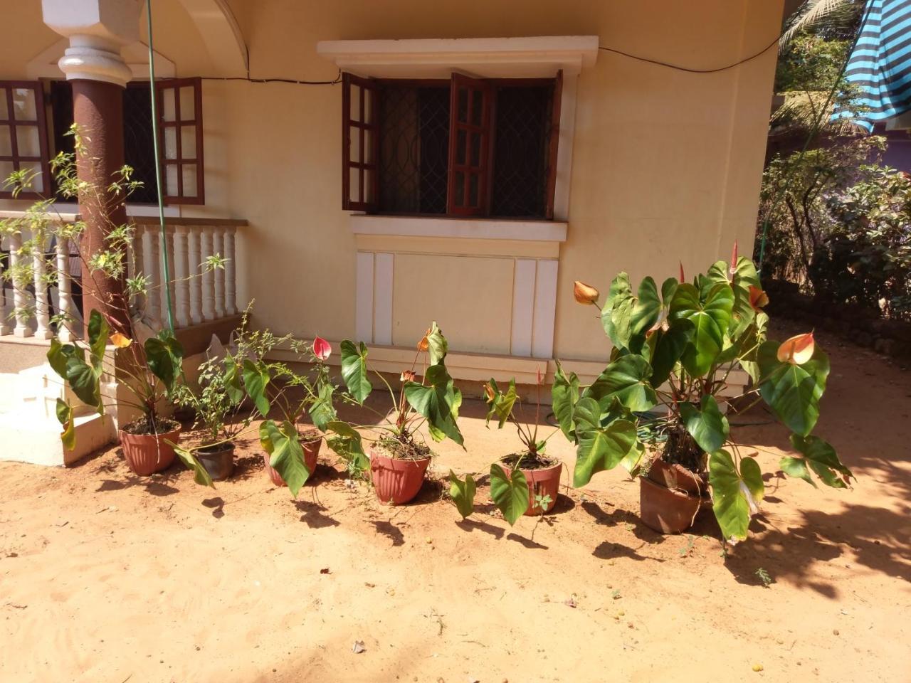 21In Guest House Calangute Luaran gambar