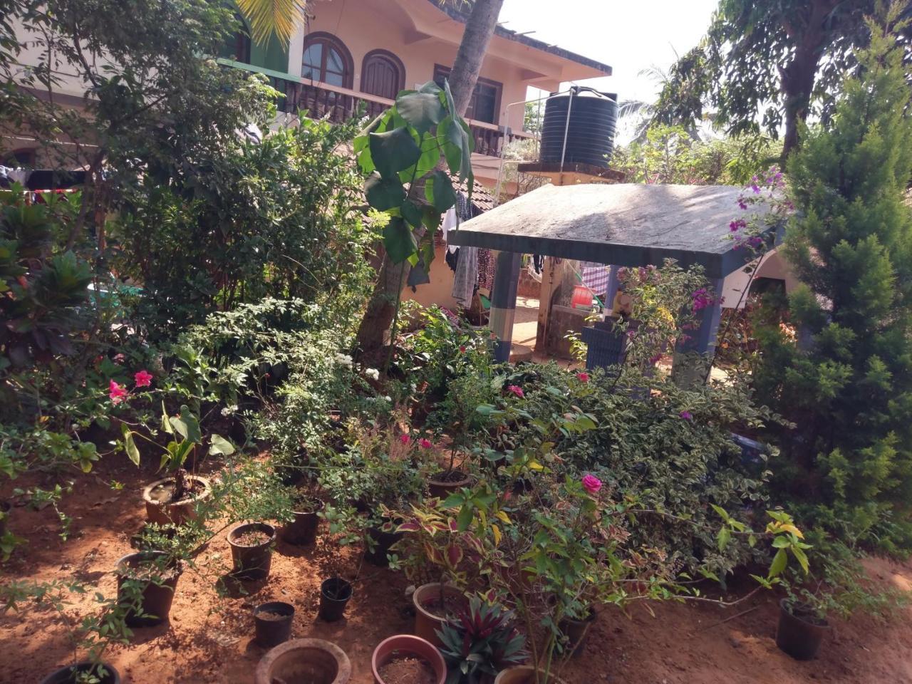 21In Guest House Calangute Luaran gambar